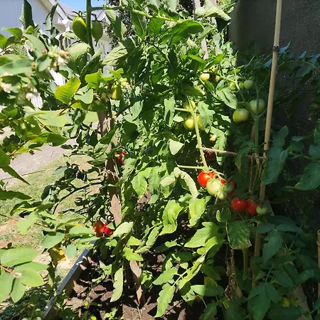 Hébergement de vacances Avas *